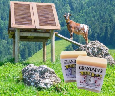 Image showing  Goat's Milk Beauty Bar, Lavender/Oatmeal, 4 oz.