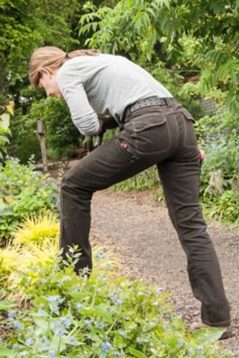 Image showing  Relaxed Fit Mid-Rise Day Construct Canvas Pants, Dark Brown