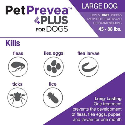 Image showing  Plus Topical Flea and Tick Solution for Dogs