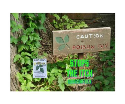 Image showing  2 oz. Poison Ivy and Oak Bar