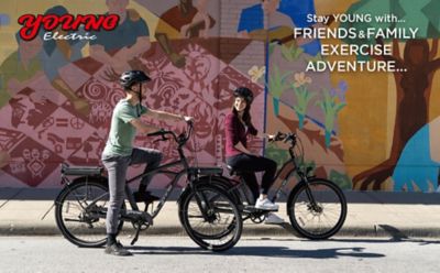 Image showing 9 th Young Electric Adult 350W Hybrid/Crossover Torque Sensor Step-Thru E-Bike, 27.5 in., Matte Gunmetal