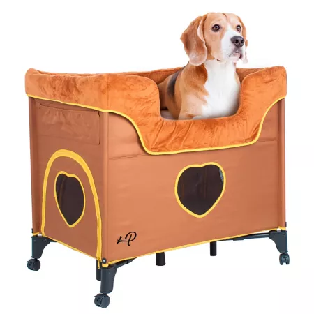 Petique Pet Bed 33.5" BD01300104 Pet Furniture Style Beds