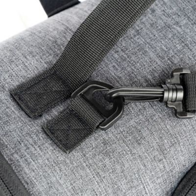 Image showing  Rover Pet Carrier