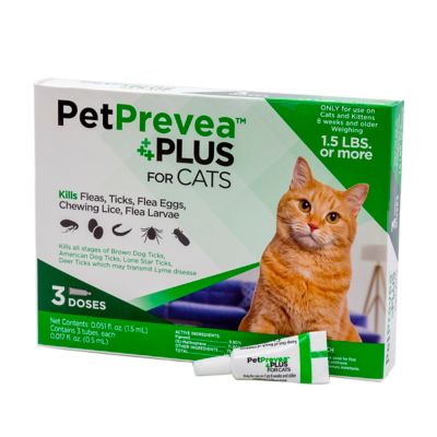 Image showing  Plus Topical Flea, Tick and Lice Treatment for Cats