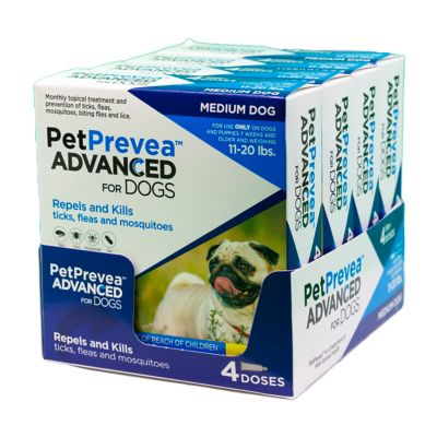 Image showing  Advanced Topical Flea and Tick Solution for Dogs