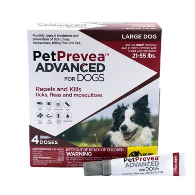 Image showing  Advanced Topical Flea and Tick Solution for Dogs