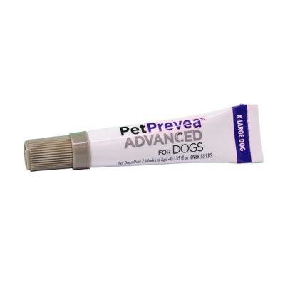 Image showing  Advanced Topical Flea and Tick Solution for Dogs