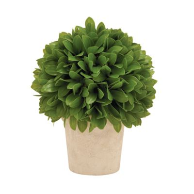 Image showing  10 in. Green Artificial Foliage Boxwood Ball Topiary in Beige Paper Pot