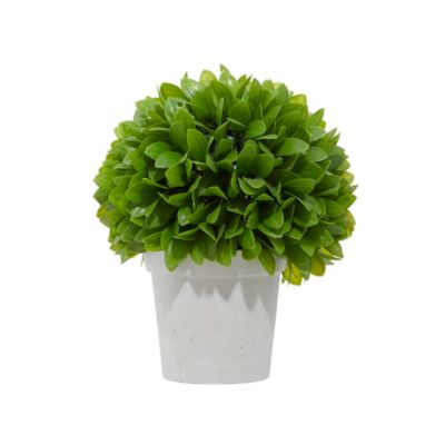 Image showing  10 in. Green Artificial Foliage Boxwood Ball Topiary in Beige Paper Pot