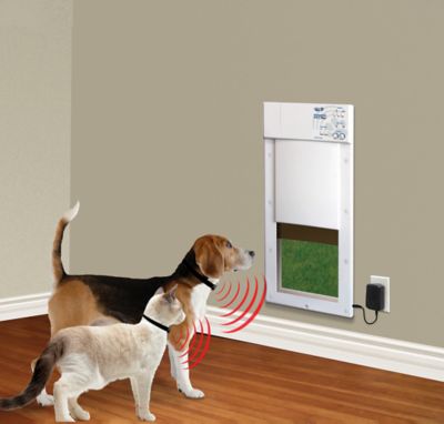 Image showing  Medium Opening Power Pet Door for Wall Installations, PX-1W