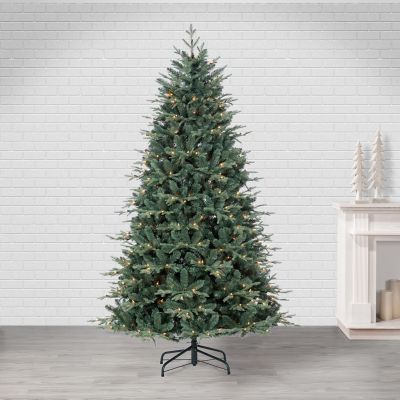 Image showing  7.5 ft. Natural Cut Blue Spruce with 2931 Tips and 500 Warm White LED Lights
