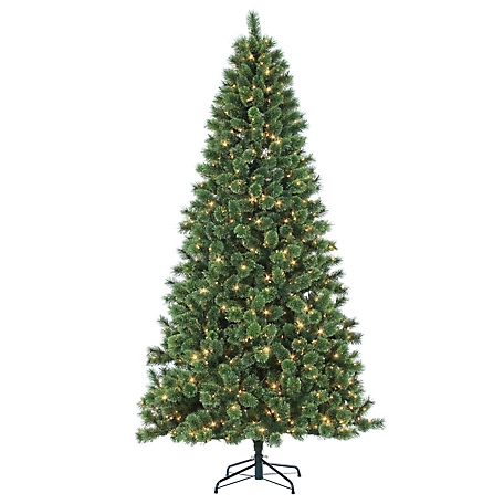 Sterling 9 ft. Cashmere Pine Tree with 1266 Tips and 1100 Ul Incandescent Lights