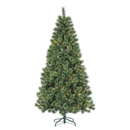 6 ft Sterling Illuminated Paisley Pine with 412 Tips and 400 UL Filament Lights Artificial Christmas Trees