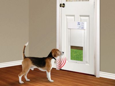 Image showing  Medium Power Pet Door for Door Installations - Wi-Fi Smartphone Controlled, PX1-WF