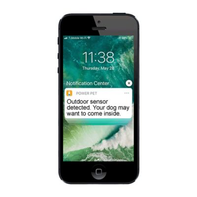 Image showing  Power Pet Door for Door Installations, Wi-Fi Smartphone Controlled, Large