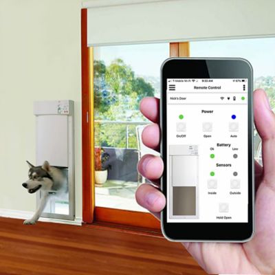 Image showing  Medium Opening Power Pet Door for Wall Installations - Wi-Fi Smartphone Controlled, PX-1WFW