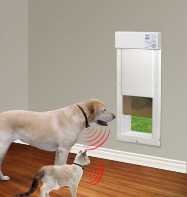 Image showing  Power Pet Door for Wall Installations, Wi-Fi Smartphone Controlled, Large Opening