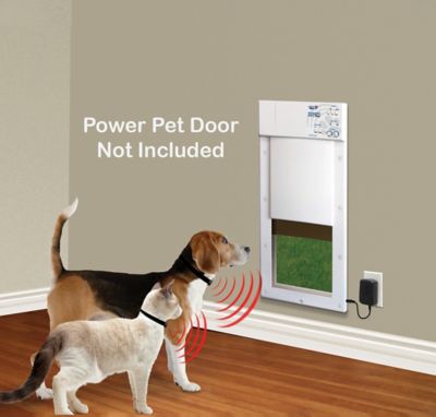 Image showing  Large Wall Tunnel for Door and Wall Installations, AW-PX2