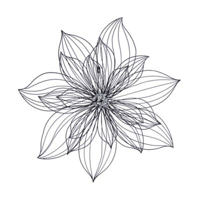 Image showing  Black Metal Modern Flowers Wall Decor, 26 in. x 26 in.