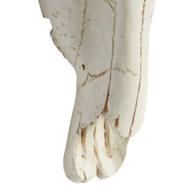 Image showing  White Polystone Farmhouse Cow Skull Wall Decor, 16 in. x 5 in. x 12 in.