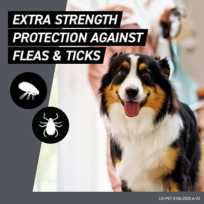 Image showing  Shield Flea and Tick Treatment for Extra Small Dogs 5-10 lb., 3 Month Supply, 3 ct.