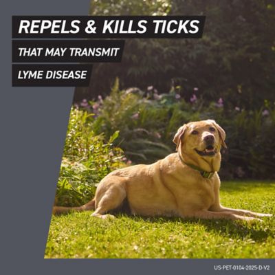 Image showing 5 th Frontline Shield Flea and Tick Prevention for Dogs 41-80 lb., 3 ct.