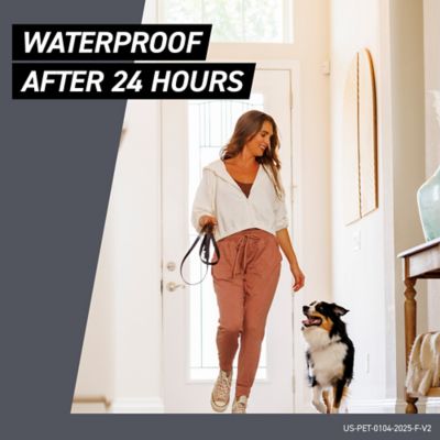 Image showing 7 th Frontline Shield Flea and Tick Prevention for Dogs 41-80 lb., 3 ct.