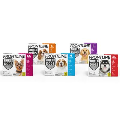 Image showing 9 th Frontline Shield Flea and Tick Prevention for Dogs 41-80 lb., 3 ct.