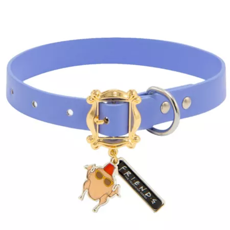 Buckle-Down Friends Monica's Peephole Frame Molded Buckle with Türkiye and Friends Charms Dog Collar Dog Basic Collars