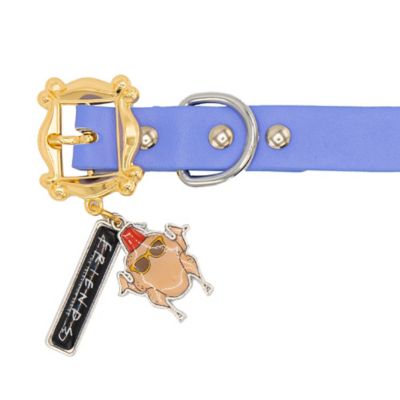 Image showing  Friends Monica's Peephole Frame Cast Buckle with Turkey and Friends Charms Dog Collar