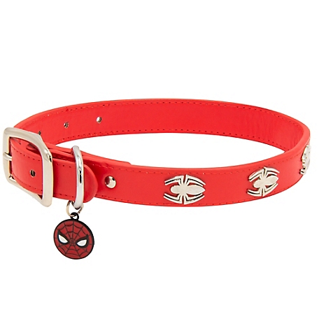 Buckle-Down Marvel Comics Spider-Man with Spider Charms Dog Collar