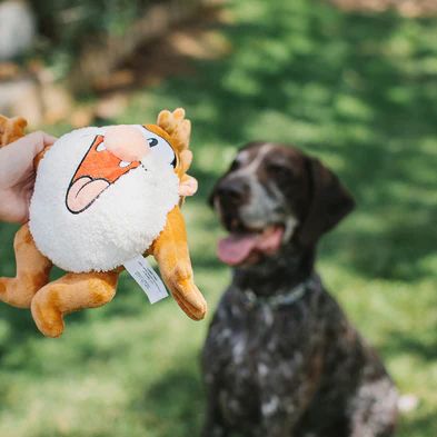 Image showing  Looney Tunes Plush Squeaker Taz Full Body Dog Toy