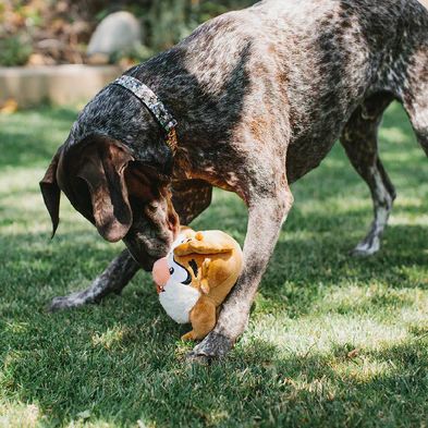 Image showing  Looney Tunes Plush Squeaker Taz Full Body Dog Toy
