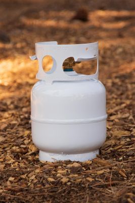 Image showing  Propane Growler