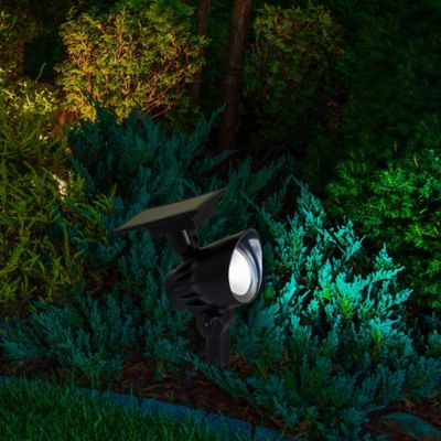 Image showing  11 in. Solar-Powered Outdoor LED Flood Light
