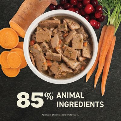 Image showing  All Life Stages Premium Chunks Lamb Recipe in Bone Broth Wet Dog Food, 12.8 oz.