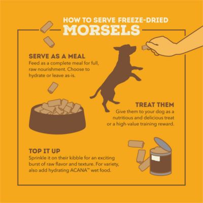 Image showing  Freeze Dried Morsels Free-Run Chicken Recipe Dog Food & Topper, 8 oz.