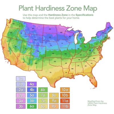Image showing 5 th National Plant Network 4 in. Potted Pothos Jade House Plants, 3 pc.
