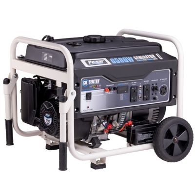 Pulsar 5,300-Watt Gasoline Powered Portable Generator -  PG6580ECO