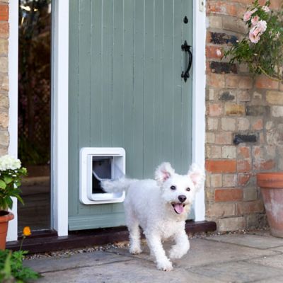 Image showing  Sureflap Microchip Pet Door