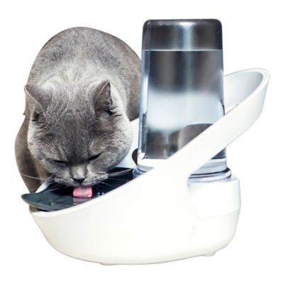 Image showing  Felaqua Connect Smart Pet Water Bowl