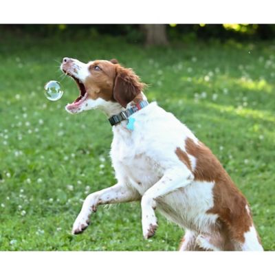 Image showing  Puppy Love Peanut Butter Scented Bubbles, 4 oz., 2-Pack