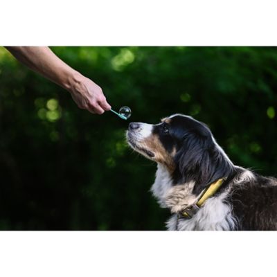 Image showing 6 th JVR Enterprises Puppy Love Peanut Butter Scented Bubbles, 4 oz., 2-Pack