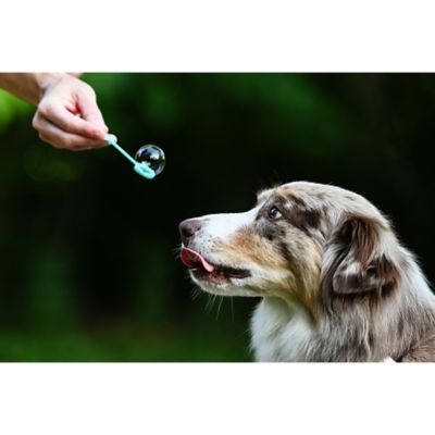 Image showing  Puppy Love Bacon and Peanut Butter Scented Bubbles for Dogs, 4 oz., 2-Pack