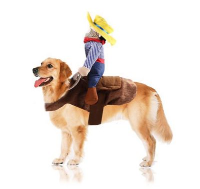 Image showing  Yeepaw' Cowboy Pet Holiday Dog Costume
