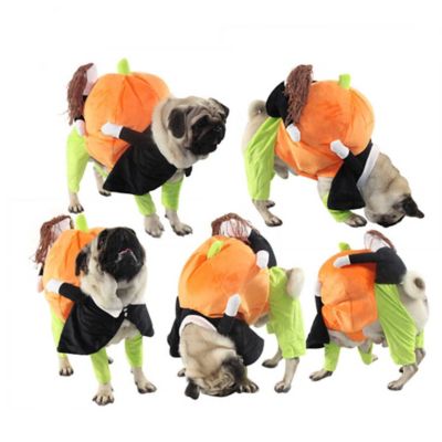 Image showing  Pumpkin Mon' Halloween Pet Dog Costume