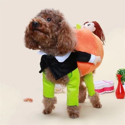 Image showing 3 th Pet Life Pumpkin Mon' Halloween Pet Dog Costume