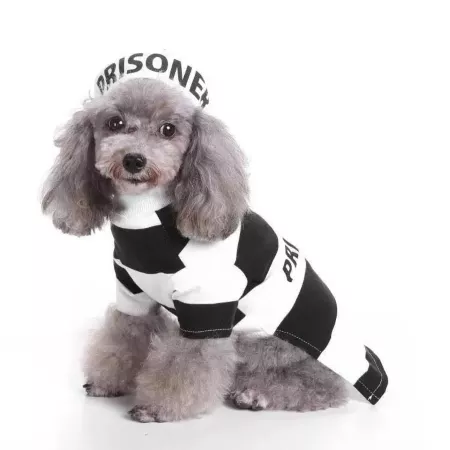 Pet Life Striped Retro Inmate Prisoner Dog Costume Uniform Cat Costumes