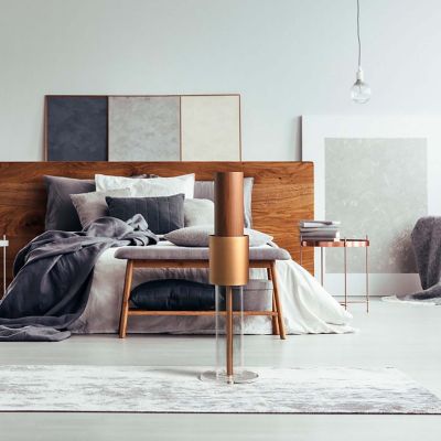 Image showing  Ionflow Signature Air Purifier, Bronze