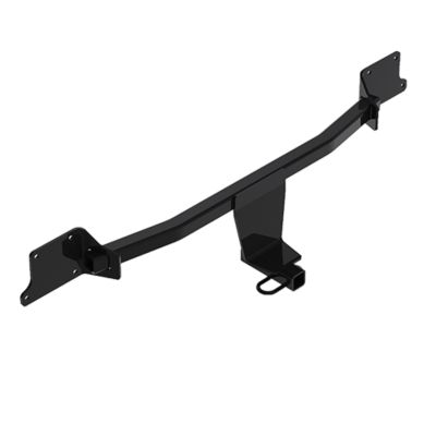 Reese Towpower Trailer Hitch Class I, 1-1/4 in. Receiver, 77989